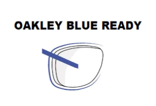 UV・ブルーバイオレットライトをカット